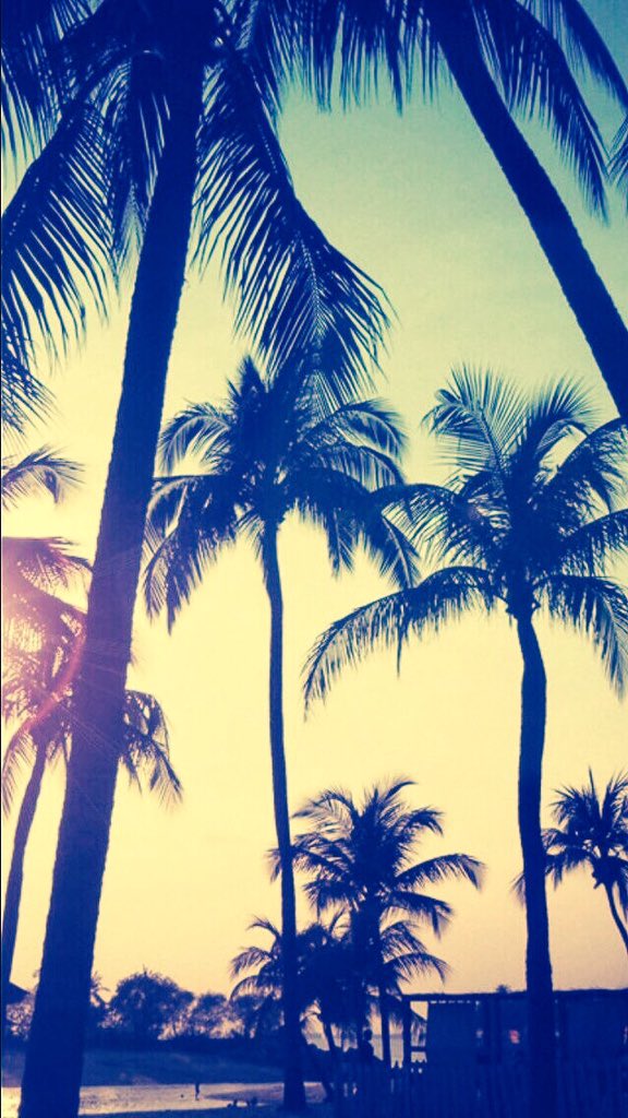 maddiezigler_'s tweet photo. Hey guys look at the trees give them a 👍🏽 and follow me ❤️ u guys and fans https://t.co/xPftUJtX3E
