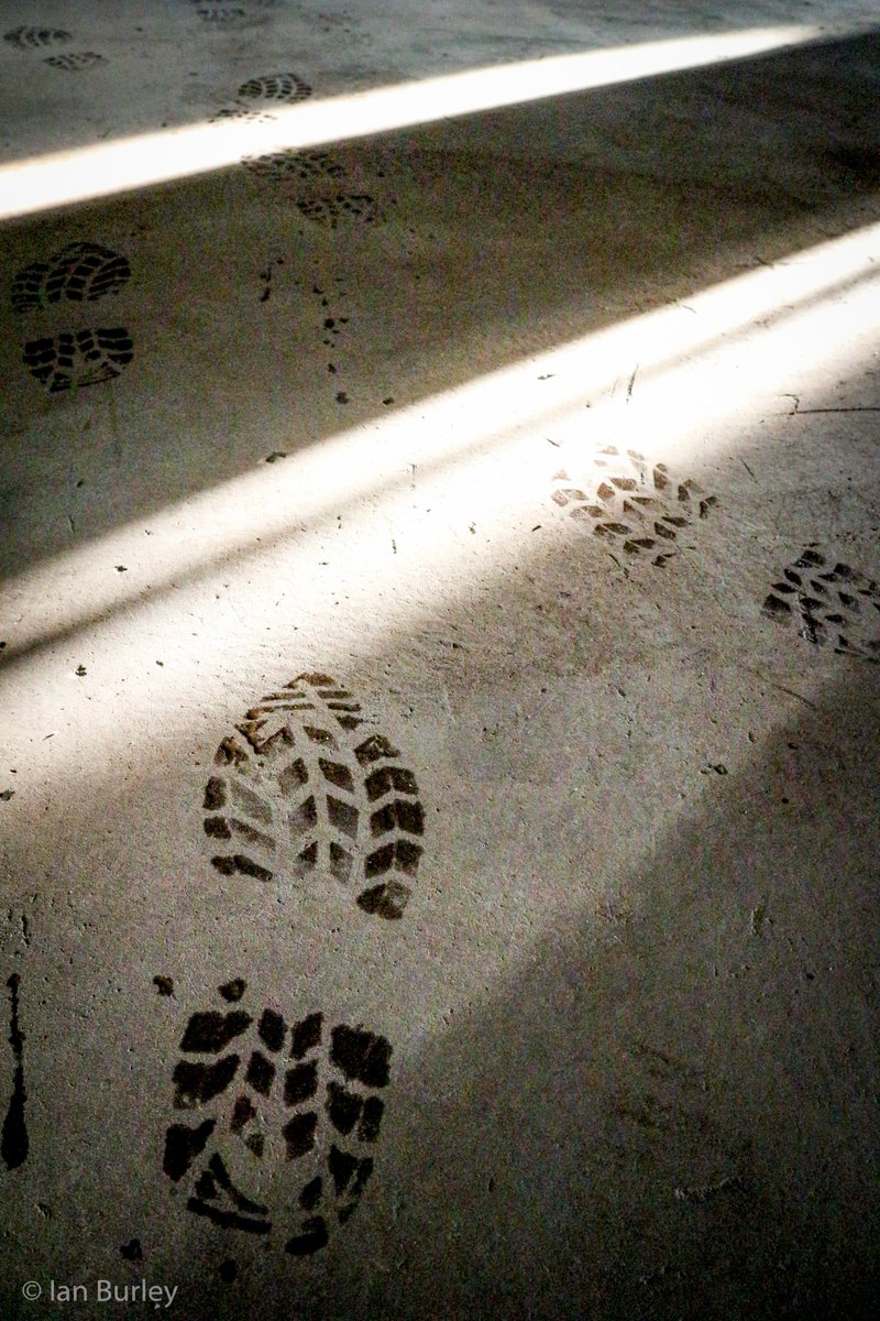 ian_burley's tweet image. And why not a few more? :) #CanonMillsMeet @CanonUKandIE