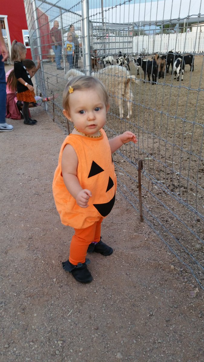 49erchick7's tweet photo. Novella Ann Arizona #babyfirstcostumecontest https://t.co/EjeR32cPHs