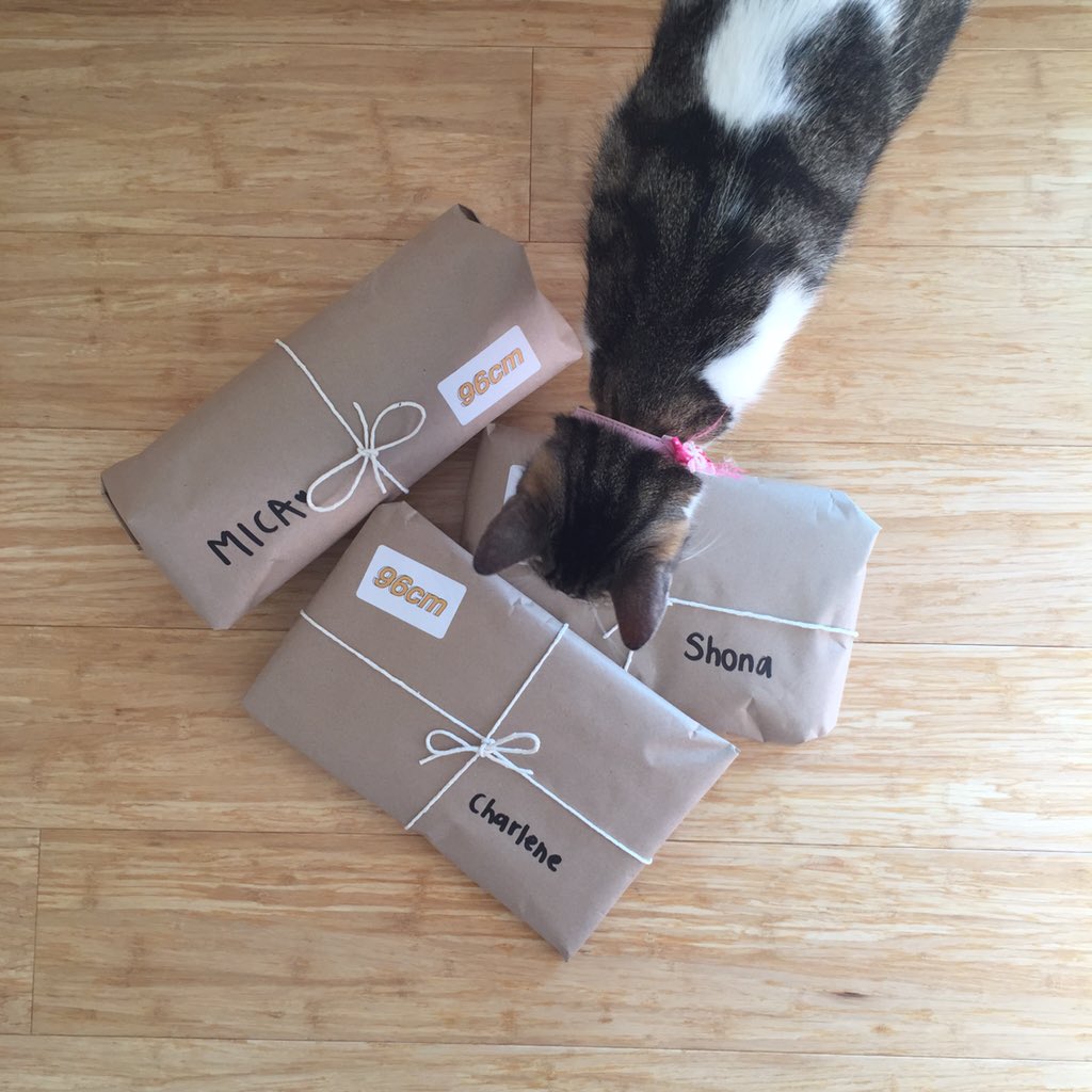 ninetysixcm's tweet photo. Our cat wanting to get in on the action 😂 The parcels are now with their respective owners! We hope you like them 😌 https://t.co/CLm7WVcSrP