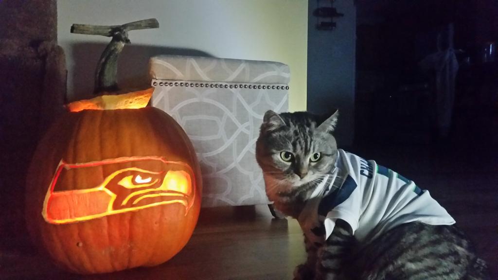 KatChancellor's tweet photo. Hey @Seahawks! It's the day before the day before! Happy #BlueFriday and #BOOFriday ! #GoHawks #TGIBF https://t.co/TaZKOwiTsR