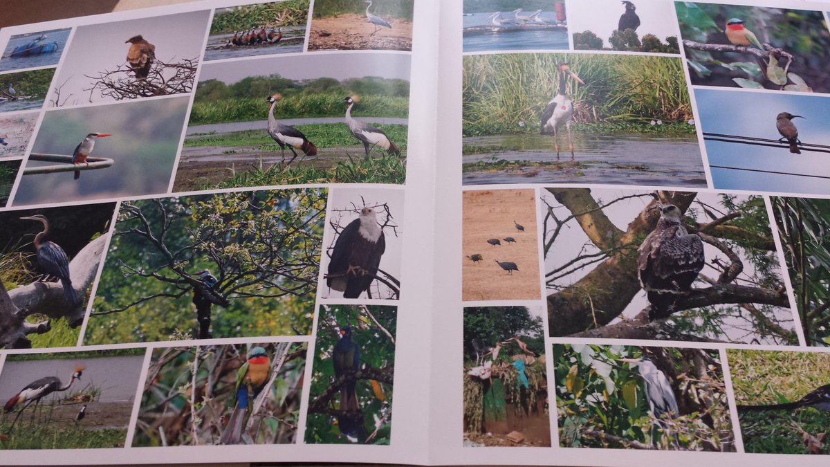 PaulBegijn's tweet photo. Tickets naar de parel van #Afrika geboekt #Oeganda met @LRepkes https://t.co/B78gLrWj1P