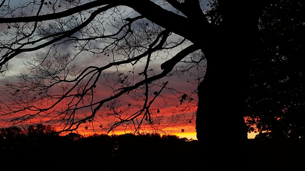 HewsonSally's tweet photo. Last night's sunset in Towson. @TonyPannWBAL @JimCantore https://t.co/lh8c28PlLi