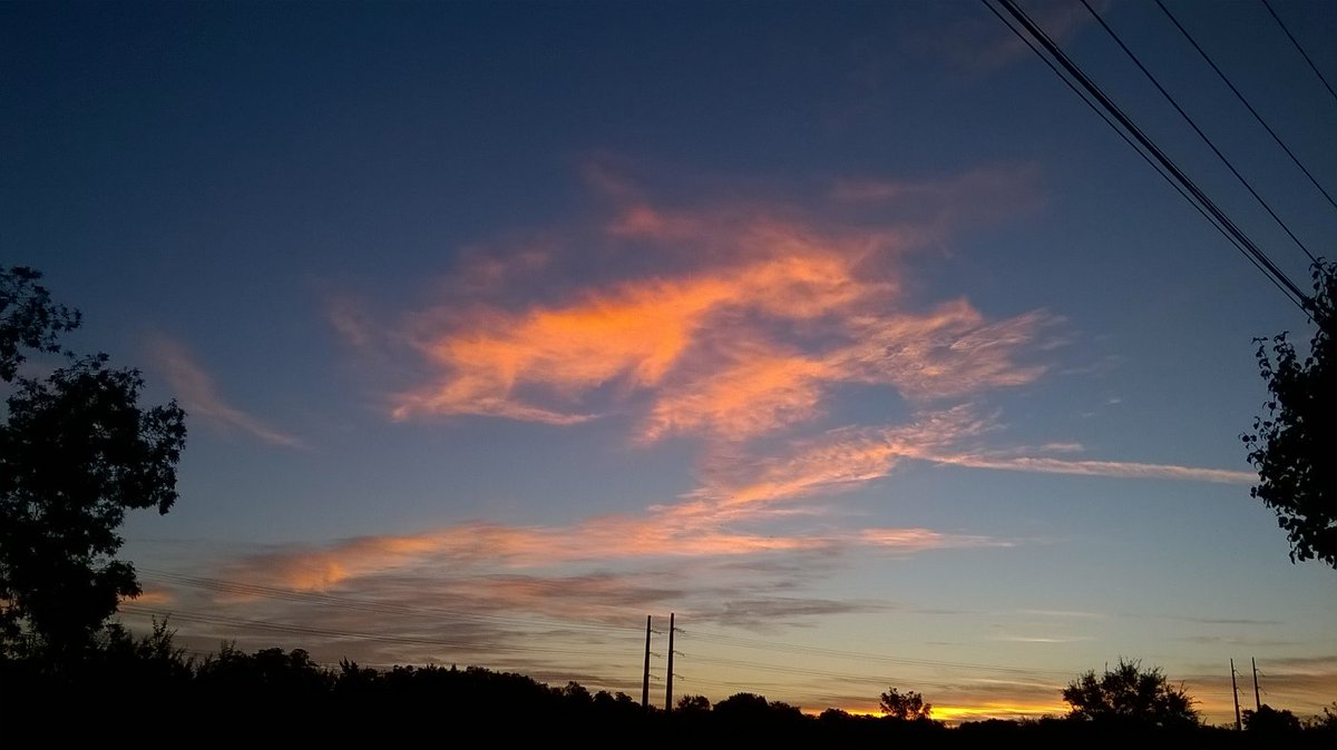 Jst_N_Case's tweet photo. @RobinMeade #MorningSunshine from Dallas. https://t.co/BdJLYFGKom