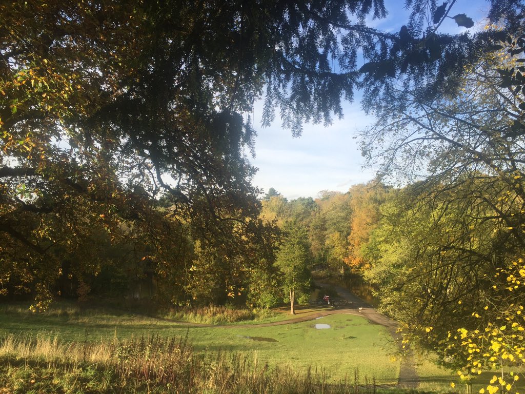 Harry_Hough's tweet photo. Had a great walk in Bramhall Park this afternoon #puglife #bramhall #cheshirelife #cheshire https://t.co/VF8IREFQ7K