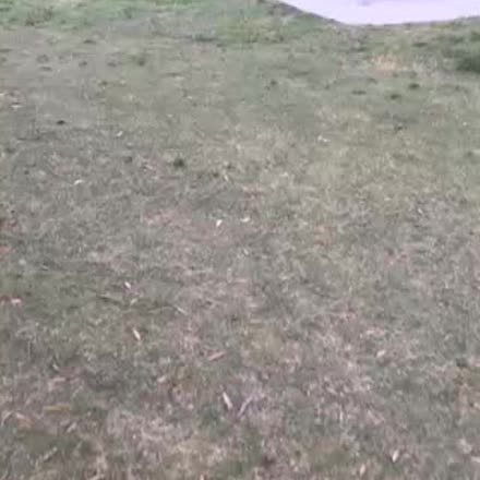 DeniseLitch's tweet photo. |REPLAY| 👻👻👻 Halloween  Q &amp; A- askMe anything about spooks  👻👻👻 #katch #Periscope https://t.co/ixQ9ZkOI6U https://t.co/RkKIzFHsLq