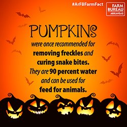 #Pumpkins are 90% water &amp; can be used for animal feed. #ArFBFarmFact #Halloween - sot.ag/4vm7Z