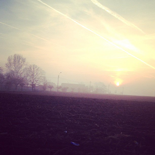 driesvanhaver's tweet photo. "Waar een wei is, is een weg" Ik zie hem niet #tsjeven #ikbenWIJ https://t.co/GQD3zfow29