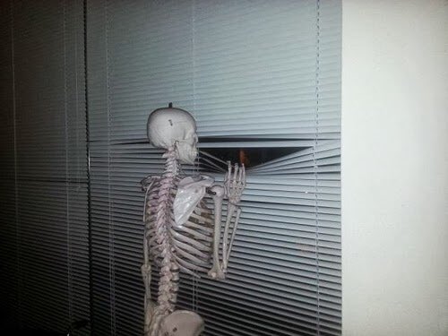 suite445's tweet photo. Pic of us waiting for our friends from @Roadie to bring us one of their badass Tshirts! #TweetsFromTheSuite #swaggy https://t.co/RbVo5mhk05