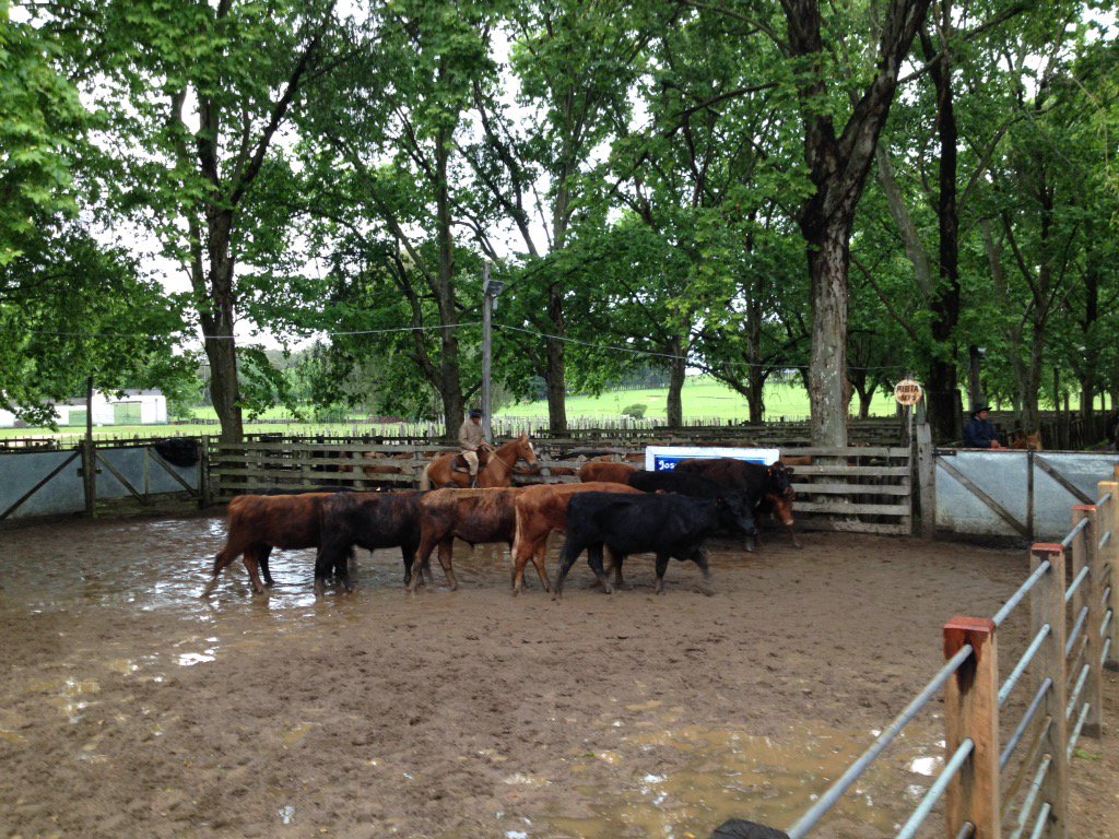 Enlace permanente de imagen incrustada