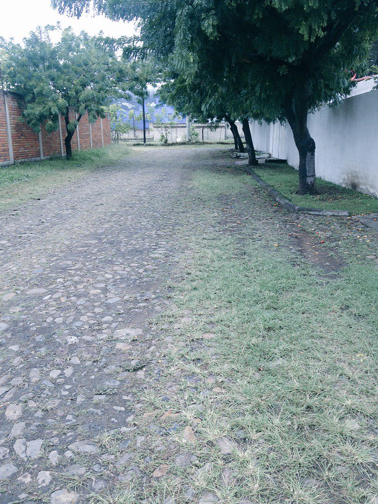 Astorgabriel's tweet image. Today's #randomspot