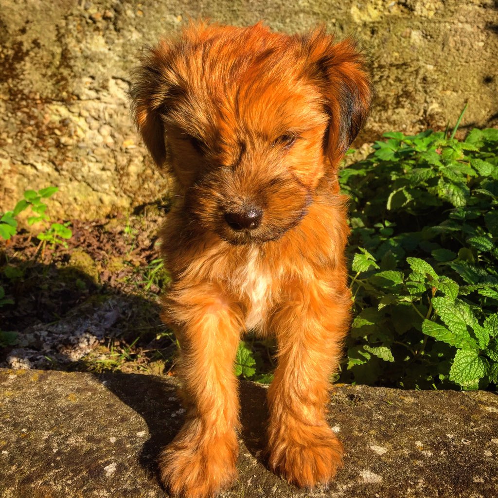 lorena (faccy) tweet media