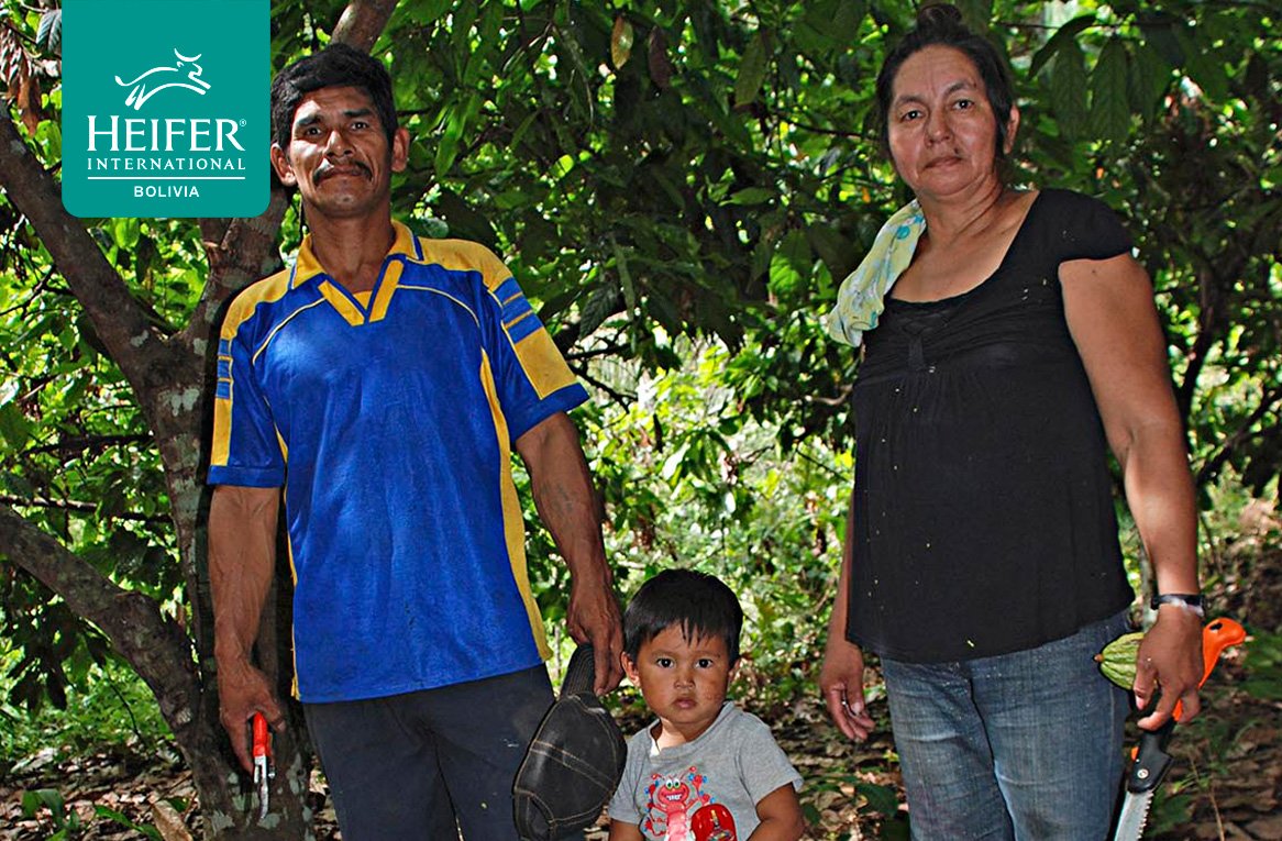 HeiferBolivia's tweet photo. #Cocoa collecting families strive day after day to keep this #forest alive https://t.co/bo1XpZWC2q https://t.co/CH5laiKMcq