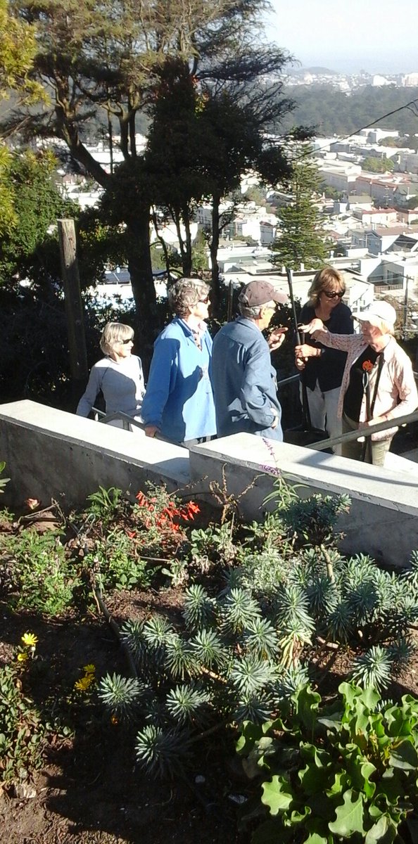 GardenSteps's tweet photo. #Community in action: #HiddenGardenSteps neighbors after weekly sweeping of the Steps #volunteers #inspiration https://t.co/NlAHBCF5rI
