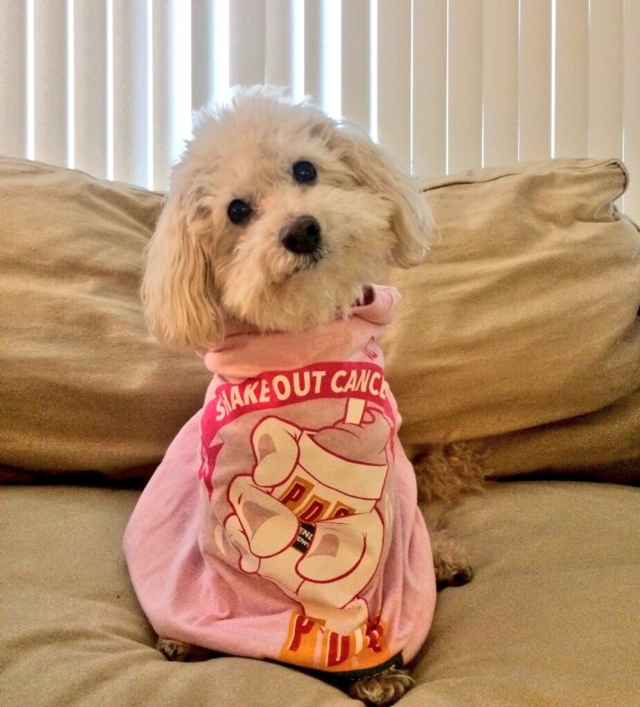 PdqChicken's tweet photo. Work it. #ShakeOutCancer https://t.co/7RPwqSNB9K