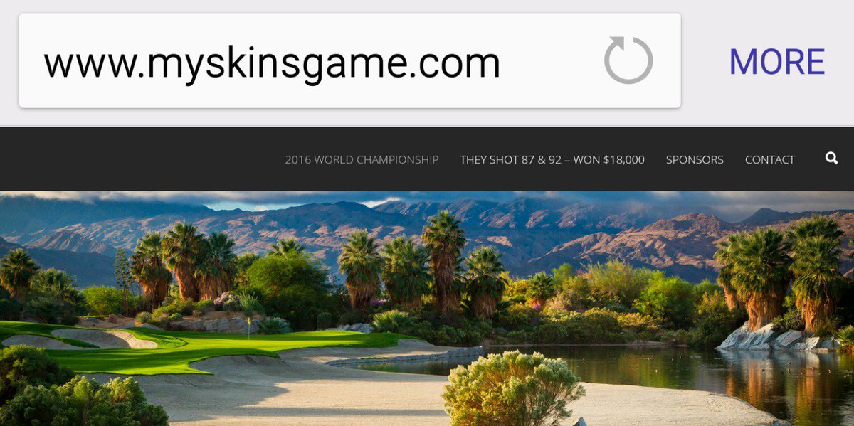 brad@MySkinsGame.com tweet media