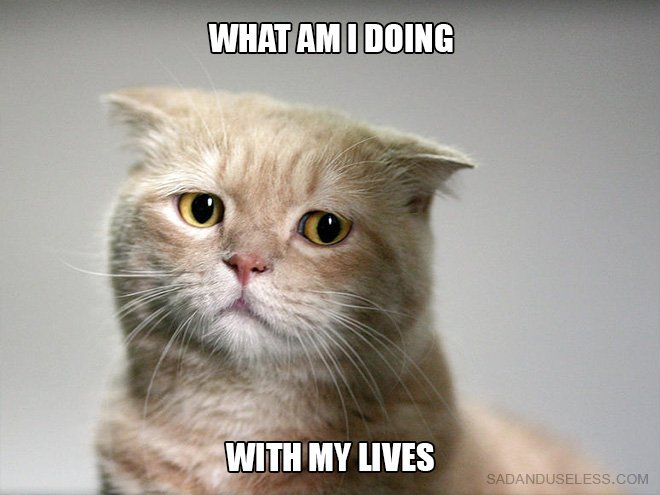 YouDecideGames's tweet photo. Depressed cat is asking itself some searching questions https://t.co/XslhFLXURh