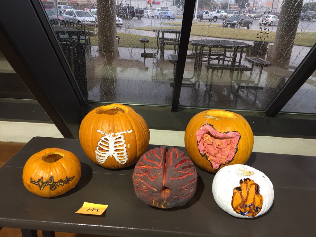 HC_ElReno's tweet photo. #the6505HC PM keeping it real with the human body! #pumpkincarvingmasters https://t.co/0P10hSwlXK