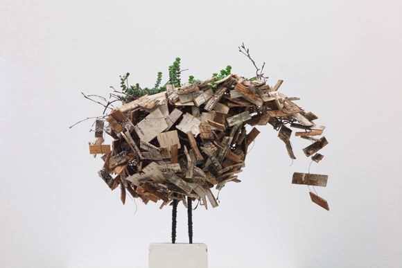 Scopri questo piccolo Eden dove assaporare la #natura con tutti e cinque i sensi!
expoveneto.it/it/22759/piant…