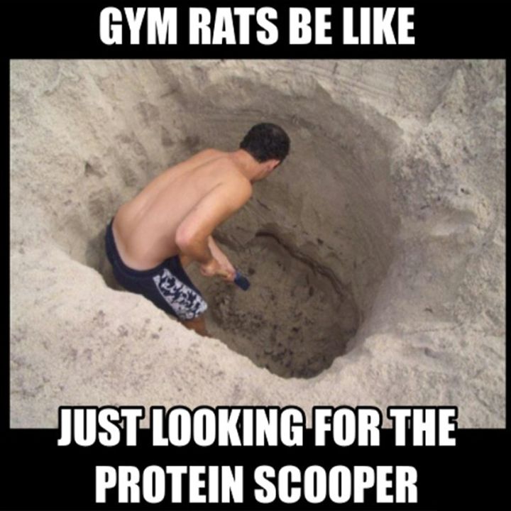 Landinfitness's tweet photo. Dear Protein Companies,
  Why do you always put the protein scoop at the bottom?
   Sincerely,
-Everyone https://t.co/3BYIqLQE4K