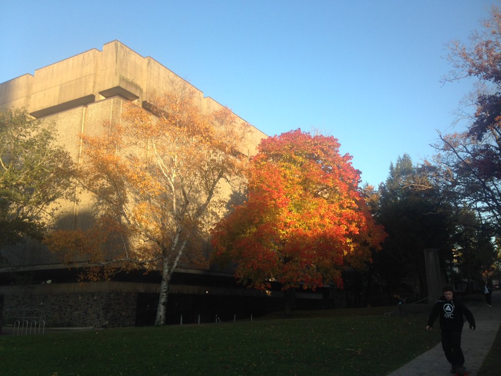 naomi_hill1's tweet photo. #fallinNS looks amazing, rain or shine ✨ https://t.co/TYa0VkLiuh