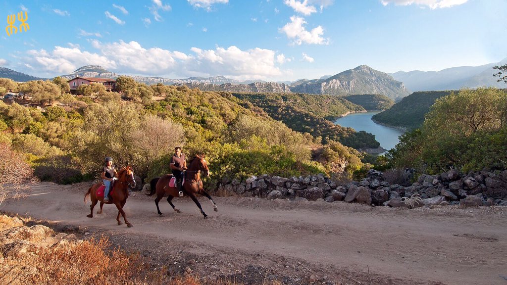 A cavallo alla scoperta di #Dorgali #CalaGonone. Se ci siete stati qual'è il percorso più suggestivo? #ditecelovoi