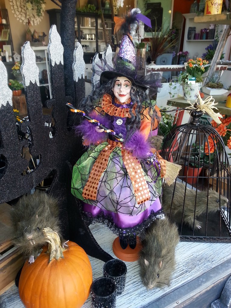 MRFloral's tweet photo. All Halloween Decor 40'/, off!! https://t.co/OzKNcN3ynu