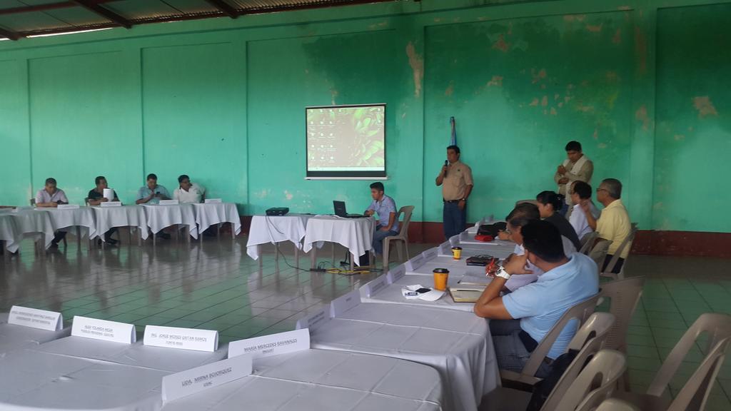 CONAP_COSTASUR's tweet photo. @CONAPgt socializacion estudio tecnico manchon guamuchal CODEDE retalhuleu  como categoria refugio de vida silvestre https://t.co/2ilwRSSBG2