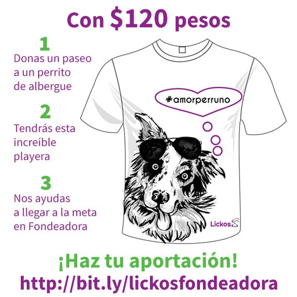 lickosmx's tweet photo. ¿Te gustaría donar un #paseo a un #perro de albergue y tener la playera de #amorperruno? Apóyanos en @FondeadoraMx https://t.co/tOn4rZi5Tb