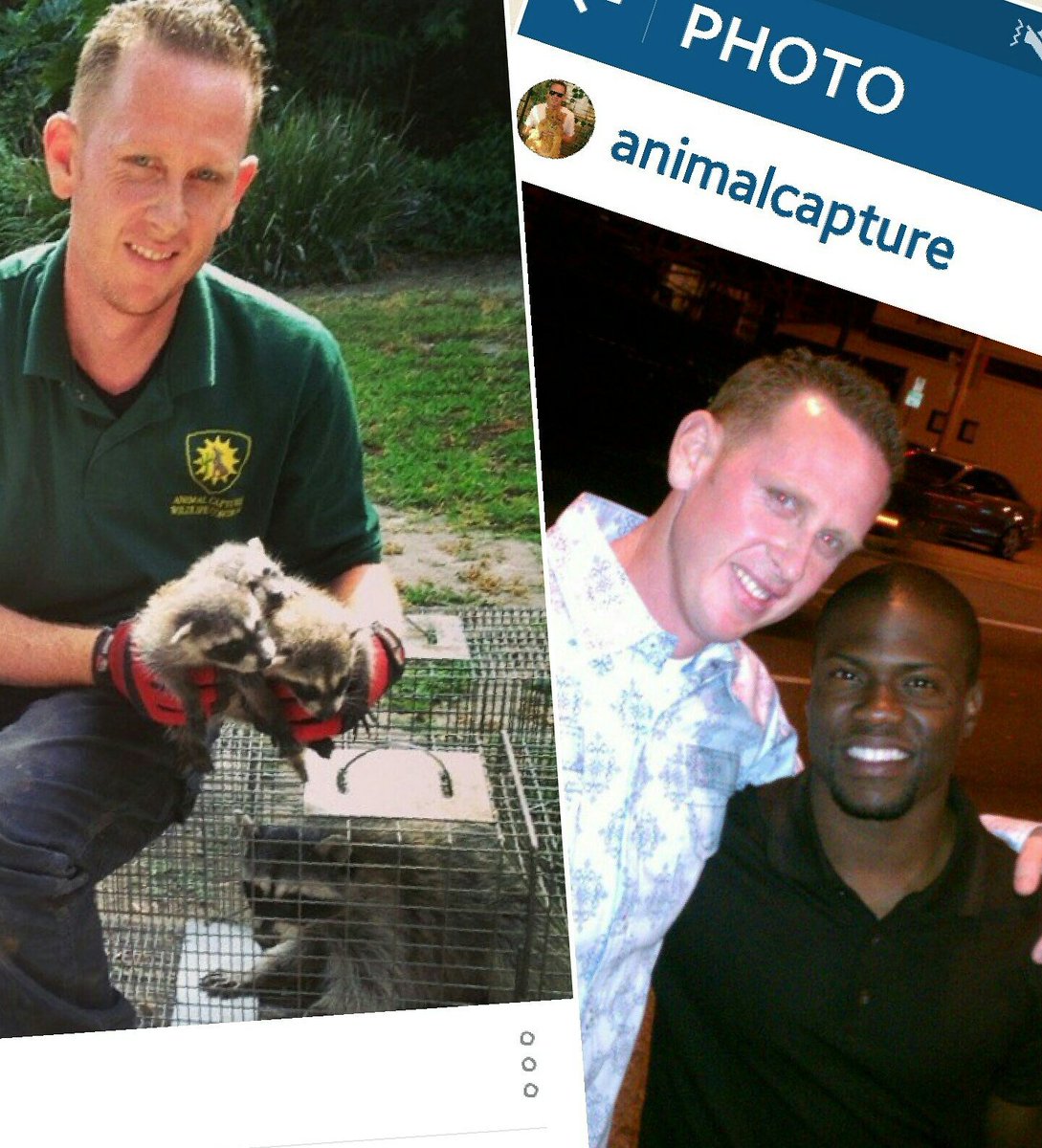 Animal Capture tweet media