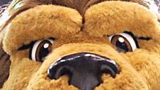 BaileyLAKings's tweet photo. @kevinandbean #TwoEyeballs Bailey for Downtown https://t.co/K2YHued41x