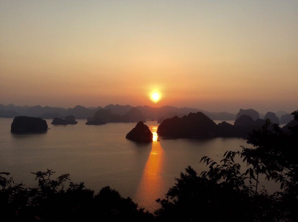 nguyen quang ky tweet media