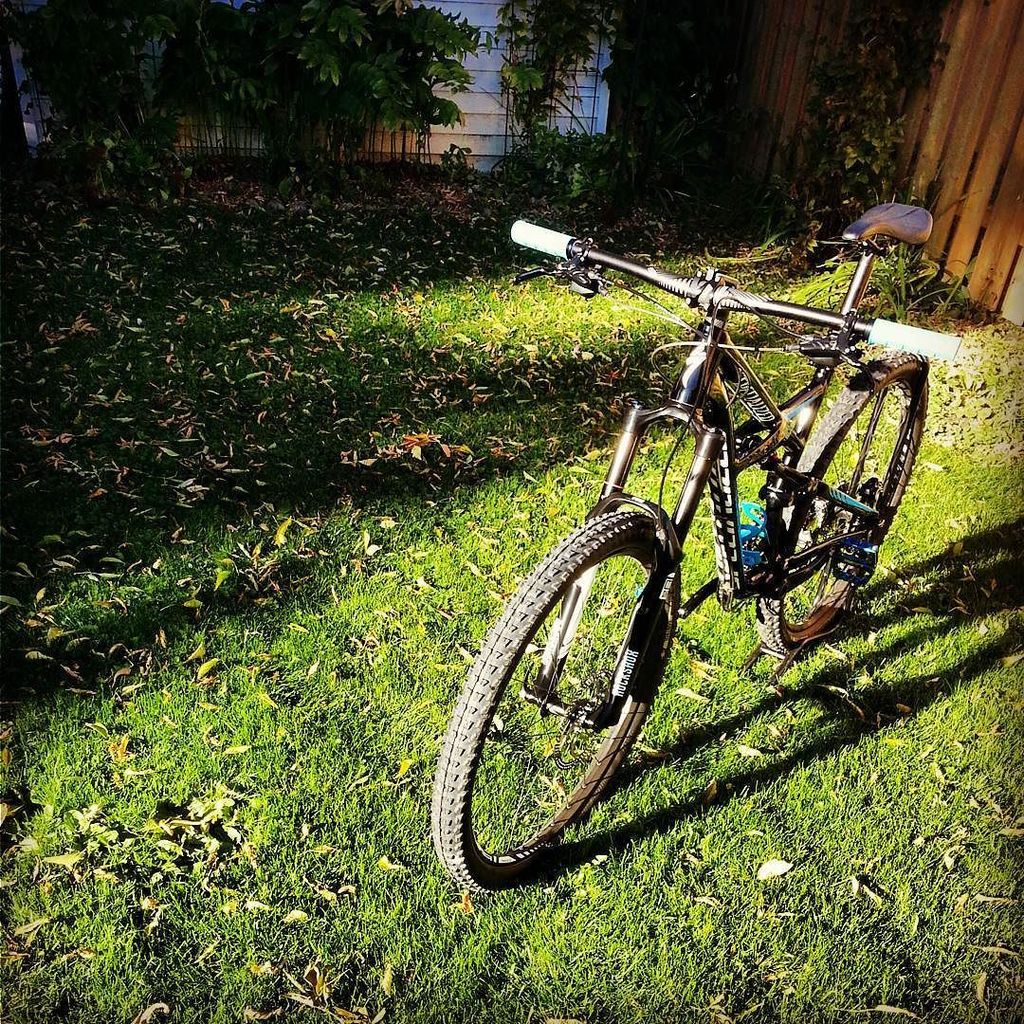 BikesbridgeBeer's tweet photo. #specialized #29er #Sram #Foxshock #RockShox #DownHill #Freeride #EnduroComp #SramX9 #carb… https://t.co/zznmgSg5ep https://t.co/dbbnAvPg0v