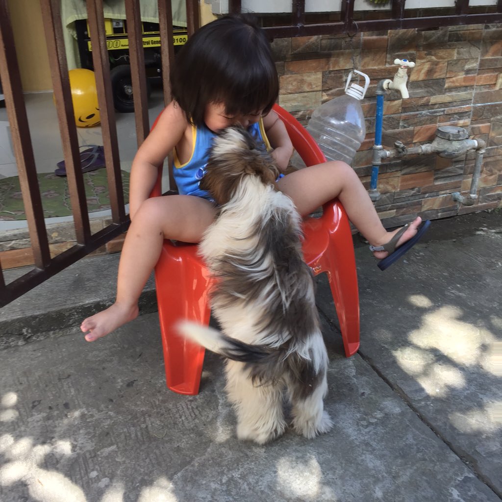 pella_f's tweet photo. @allanklownz sya si tinidoro apo sa tuhod ni lola tinidora 😂 https://t.co/uYsdj7bPV8