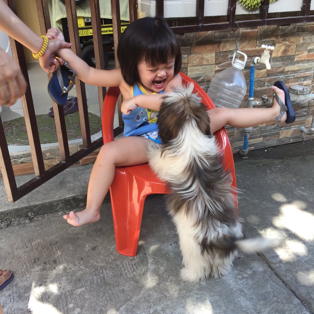 pella_f's tweet photo. @allanklownz sya si tinidoro apo sa tuhod ni lola tinidora 😂 https://t.co/uYsdj7bPV8