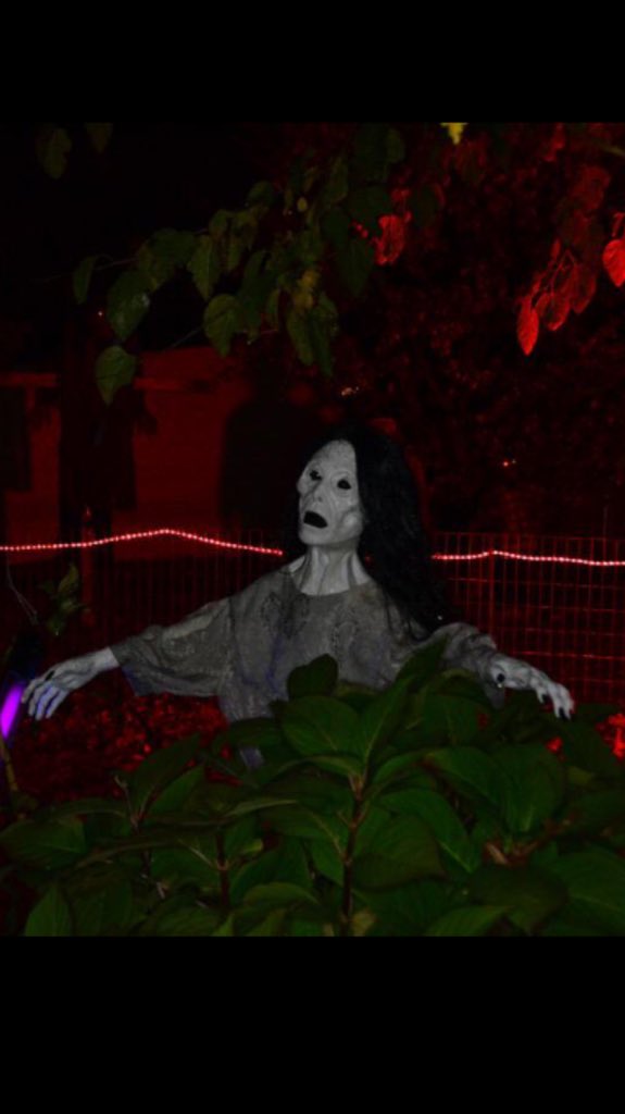 FreshFamilyHalloween (@FreshHalloween) | Twitter