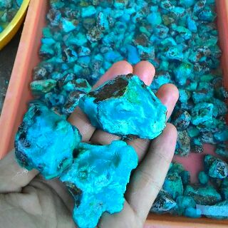 <a href="/BrengosRaden/">Pak Raden</a> @PandanganPRIA  ~»Mau Bacan? kiloan\satuan? Tersaji Harga Kiamat. Pemesanan chat PIN:24ED5B61