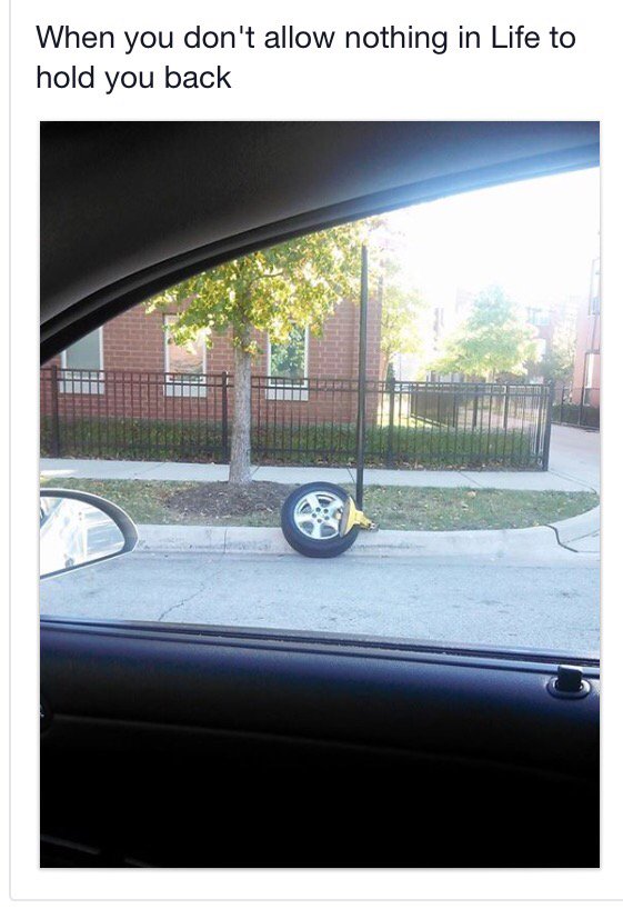 HappyMantis's tweet image. 