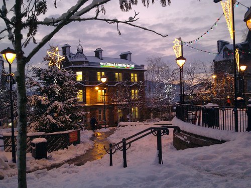 crieffbusiness's tweet photo. It's early but for many businesses already centre-stage. Share info &amp; pics of new additions at #crieffchristmas :) https://t.co/n0oL36m5eE