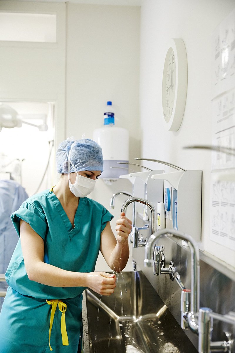 We've had some amazing reviews recently -thanks to all of you! Looking after the pets of the Northwest is a pleasure