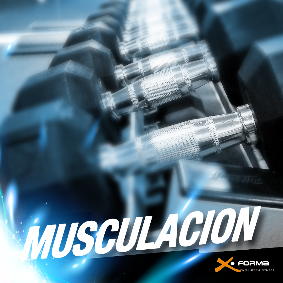gymxforma's tweet image. Entrena en #XForma según tus objetivos! Rutinas personalizadas, monitores y el mejor ambiente!