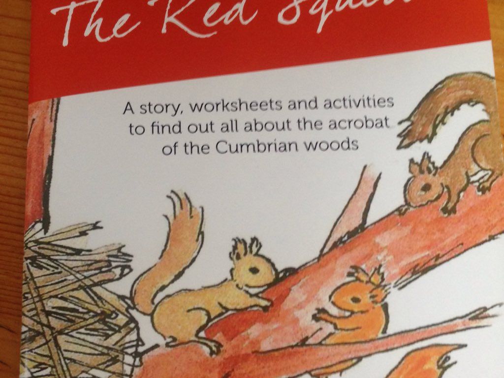 WestmorlandReds's tweet photo. Now here's a great little Xmas gift for 8-12 year olds. Contact greycontrol@hotmail.co.uk #rowantheredsquirrel https://t.co/lN1hq20nNV