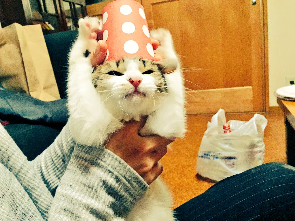 tsucha_nee's tweet photo. HappyHalloween👻🍭
       あ ん ど
HappyBirthday🎂♡ayako. https://t.co/tkLB1Z7E41