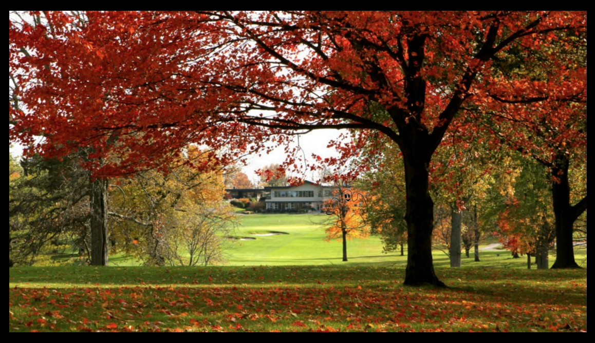 Walnuthillsgc's tweet photo. It's #fairwayfriday and the #ghost activity is really picking up on our course as #Halloween approaches... https://t.co/wVLDLLW5Ak