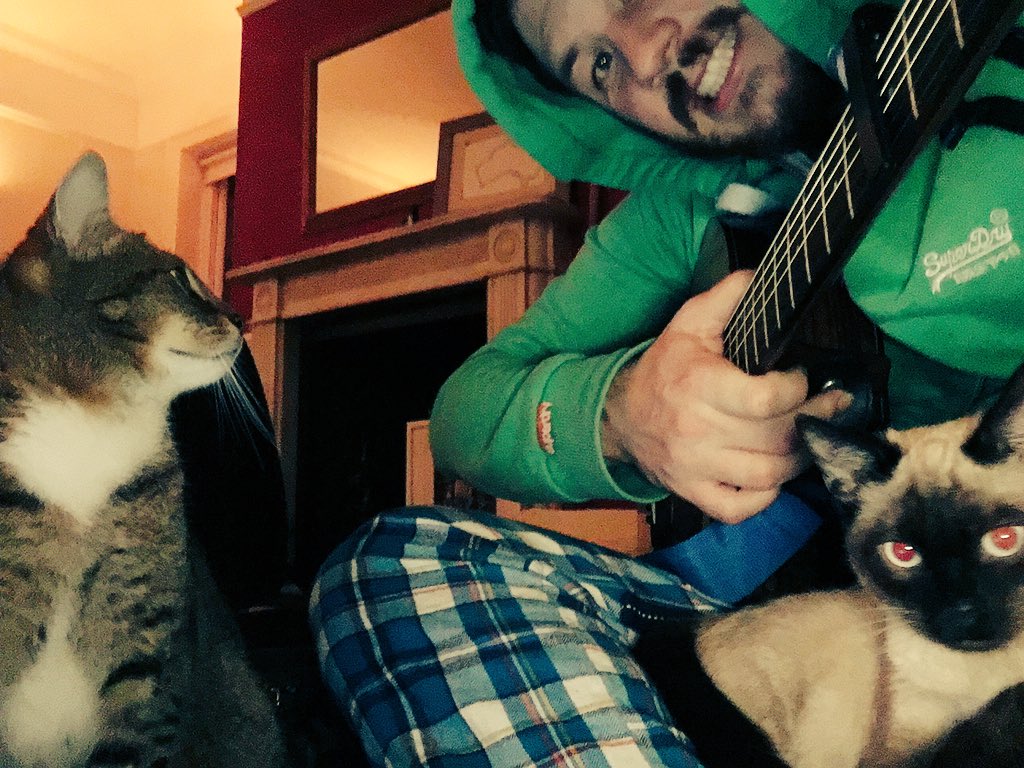 redtps's tweet image. Shout out to the songwriting crew for #NationalCatDay