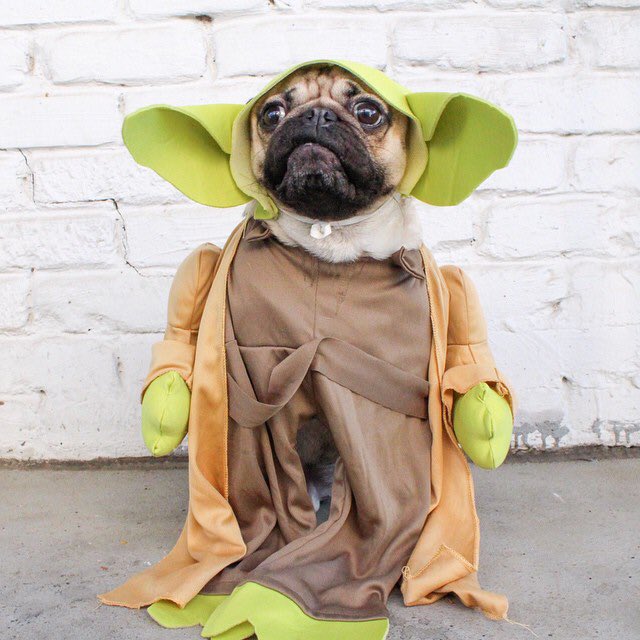 MoorQik's tweet photo. #TGIF https://t.co/c2r8LF0K9u