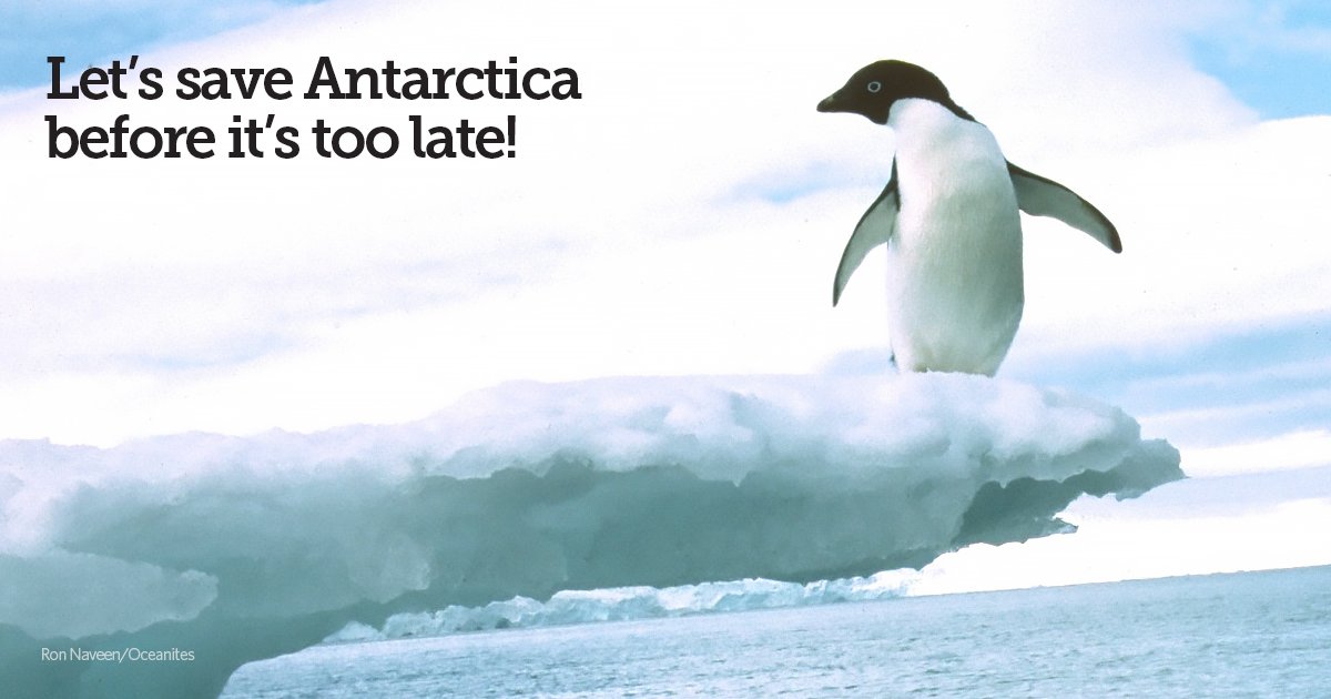 pewenvironment's tweet photo. No Antarctic ocean protections at #CCAMLR34, but 2016 could be the year. Here's why: https://t.co/vFlDbvSVcM https://t.co/LMAS0iTaFF