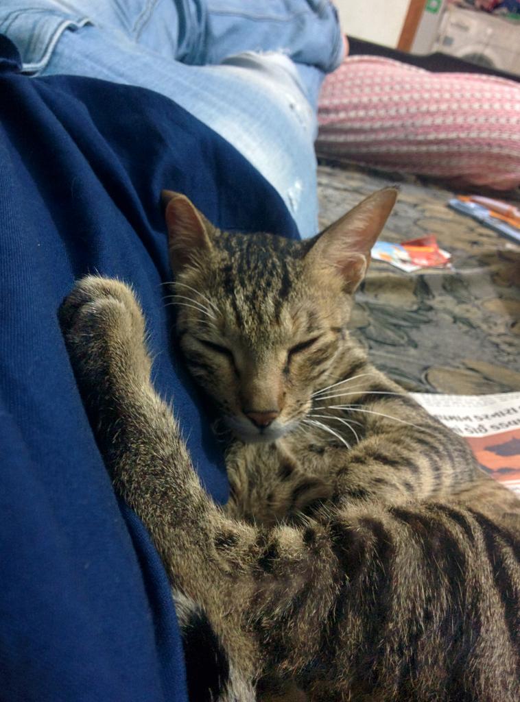 Embedded image permalink