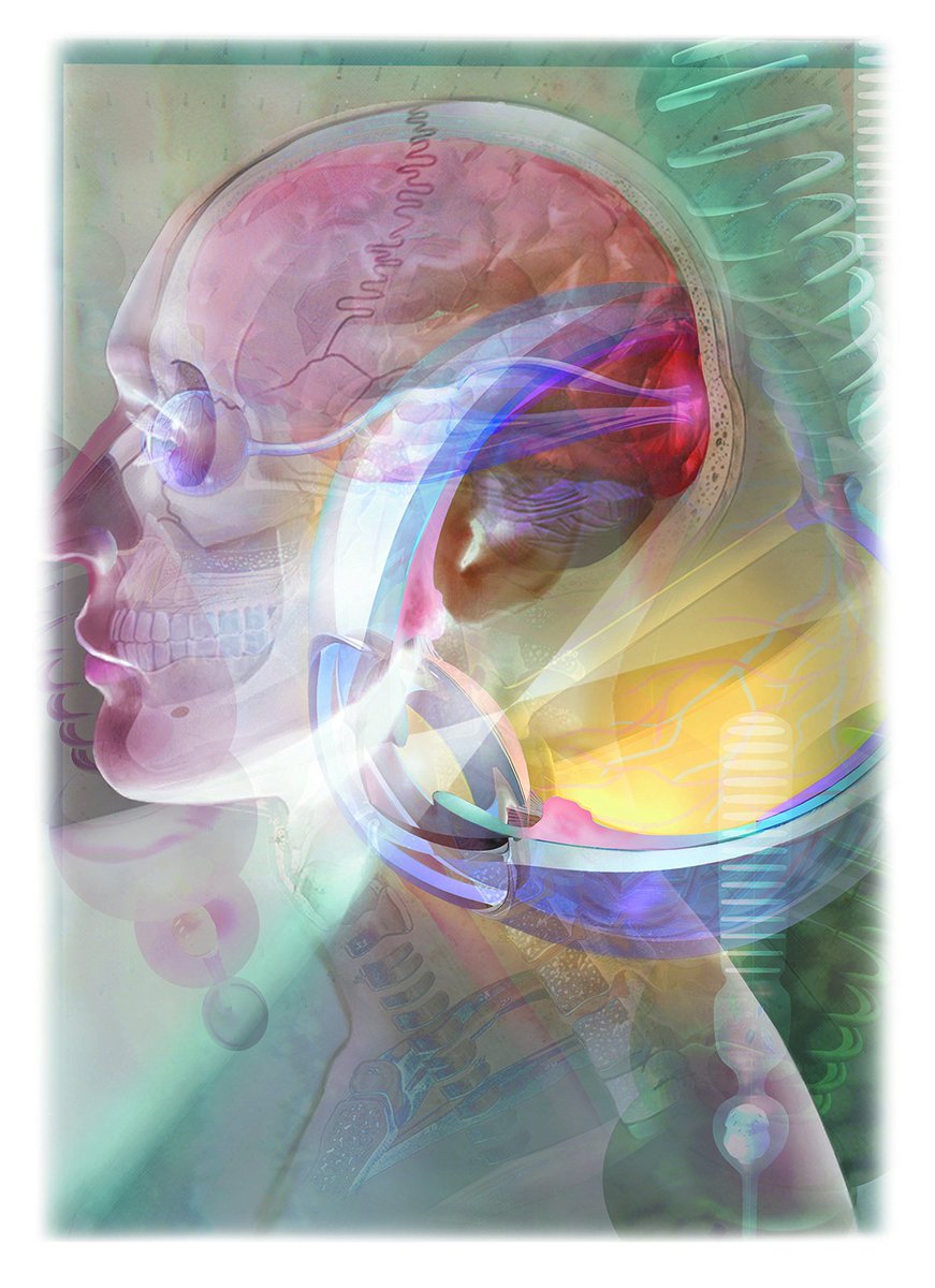 lindasnye's tweet photo. Mans’ ability to visualize an object transformated in space is critical component of intelligence. The Minds’ Eye. https://t.co/xyrBUKGxiF