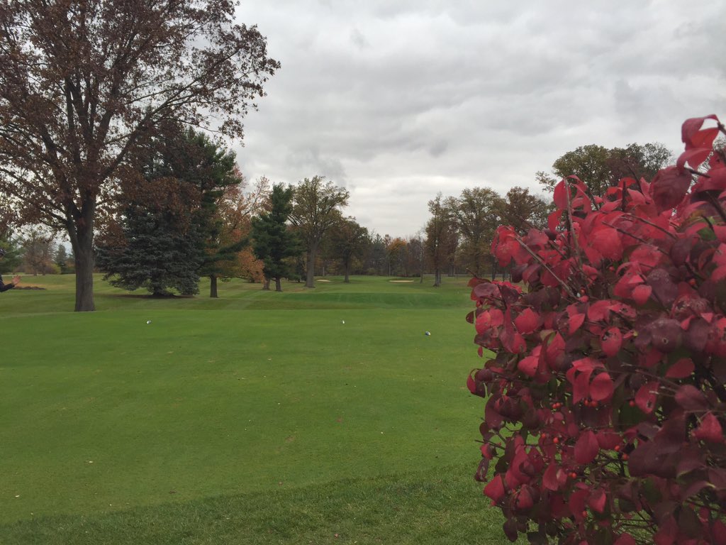 BallStateMGolf's tweet photo. October 30 and this place is in great shape! #DelawareCC #FallGolf https://t.co/JHqR6Pzgd0